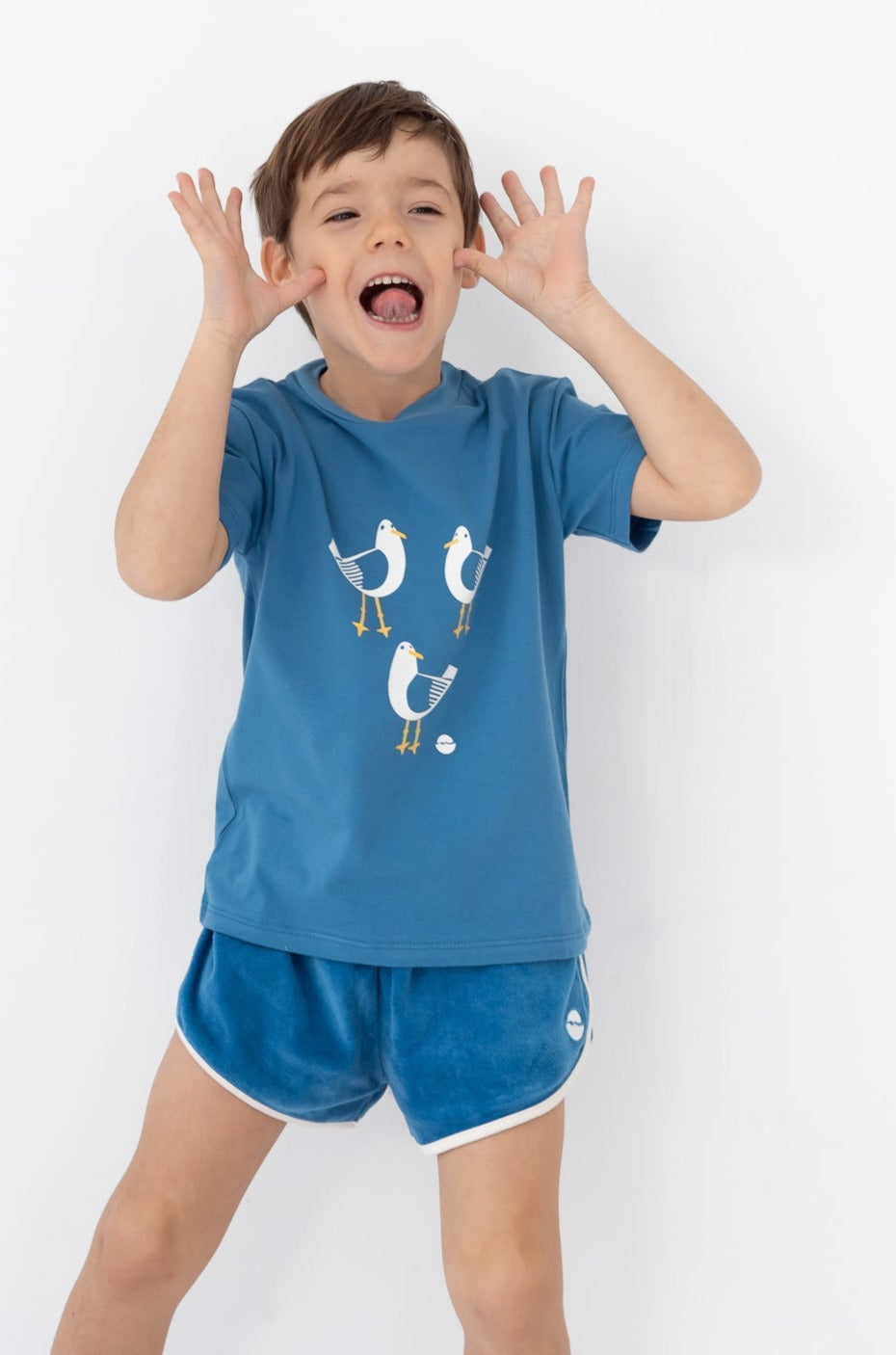 Camiseta azul con dibujo pájaros